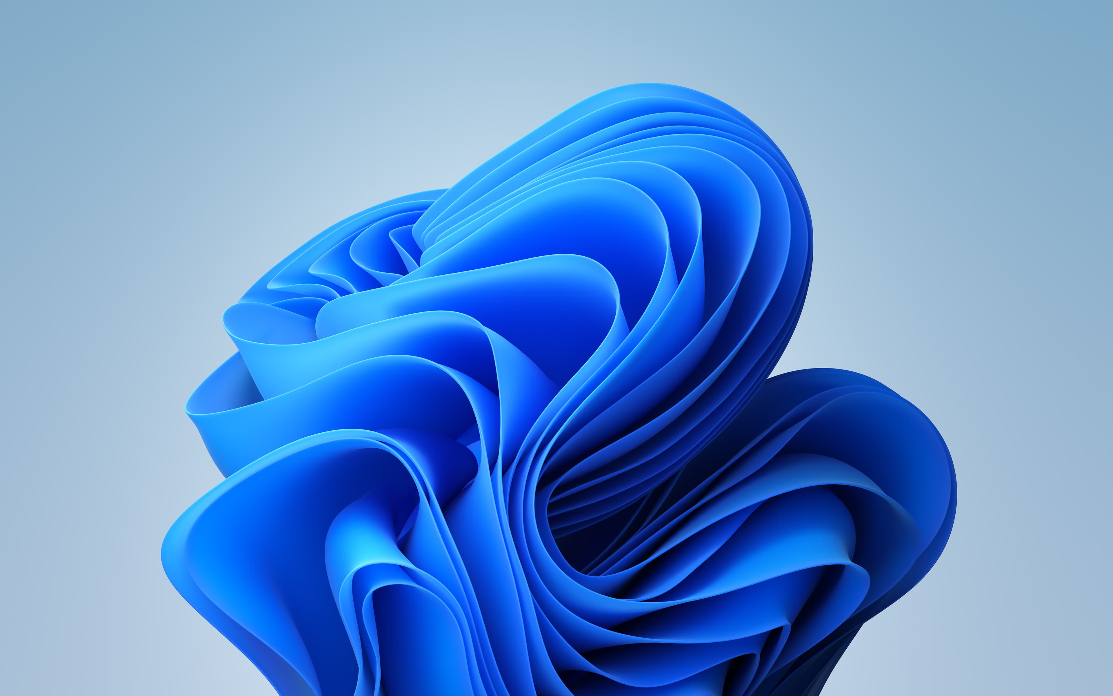 Windows 11 desktop wallpaper